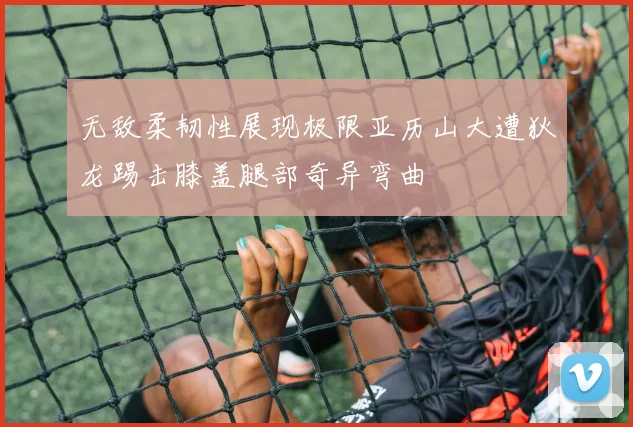 无敌柔韧性展现极限亚历山大遭狄龙踢击膝盖腿部奇异弯曲